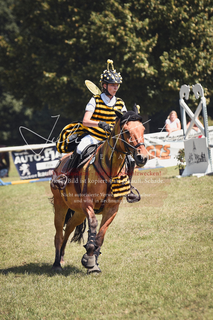 DSC_0288 | Pferde- und Turnierfotografie in Westsachsen. Pferdeportraits, Auftragszeichnungen und intuitive Kunst.