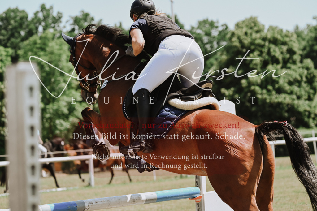DSC_0639 | Pferde- und Turnierfotografie in Westsachsen. Pferdeportraits, Auftragszeichnungen und intuitive Kunst.