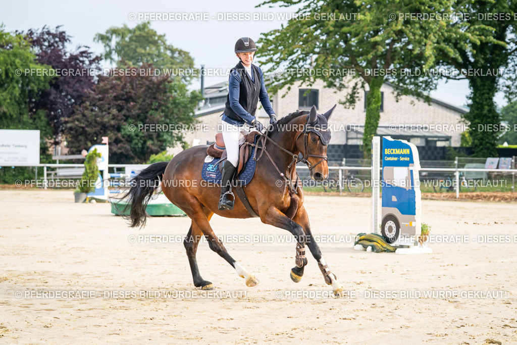 DSC08096 | Pferdegrafie