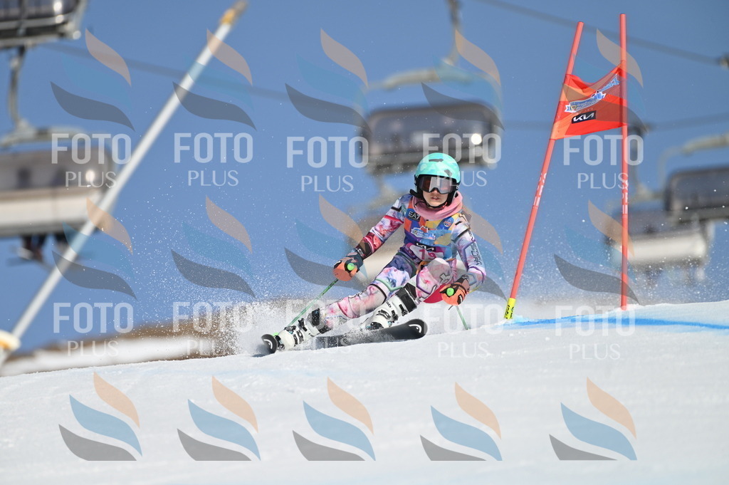 BGV_7926 | holidayphoto