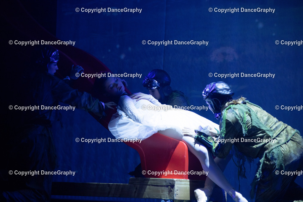 GPHY3358 | DanceGraphy - Realisiert mit Pictrs.com