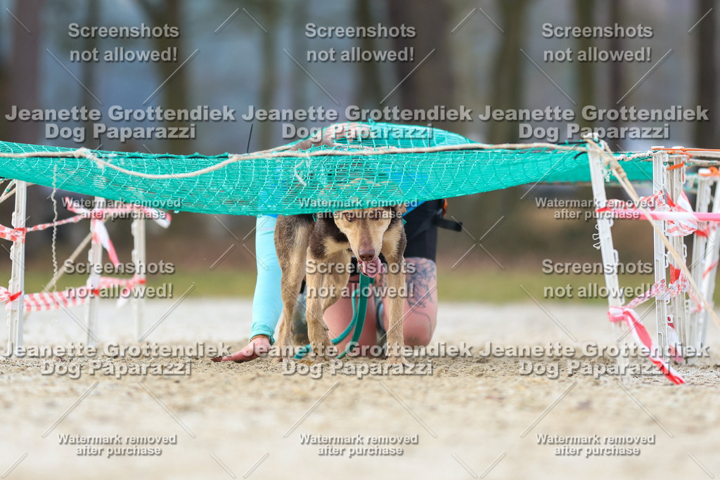 Dog Paparazzi - Strongdog North Mrz26-3859 | Dog Paparazzi Jeanette Grottendiek Fotografie & Videografie - Realisiert mit Pictrs.com