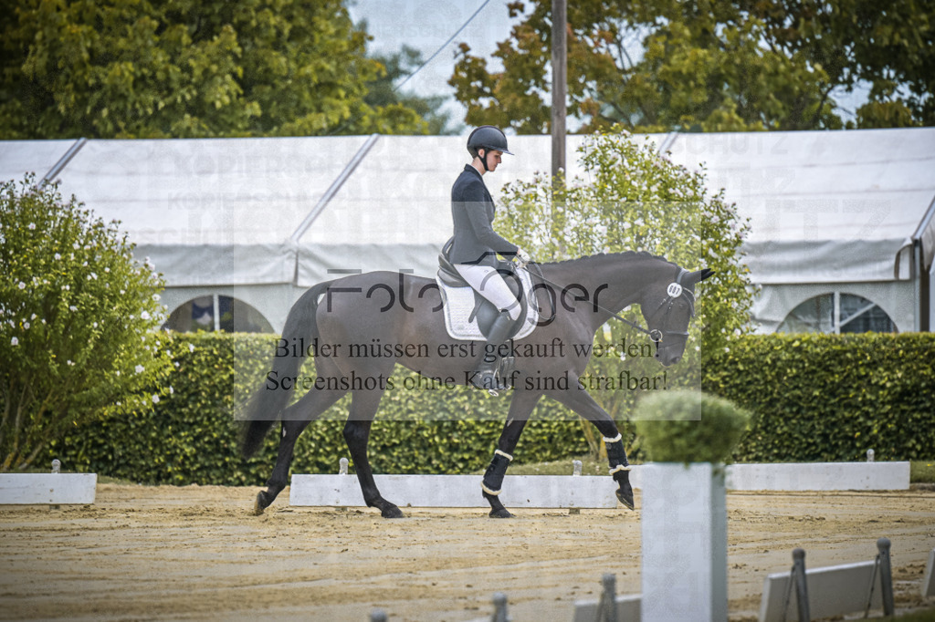 DOS_9685 | Entdecke hochwertige Reitturnierfotos von Foto Oger. Professionell, emotional und authentisch – jetzt Lieblingsmomente im Shop bestellen.Deutschlandweite Turnierfotografie. - Realisiert mit Pictrs.com