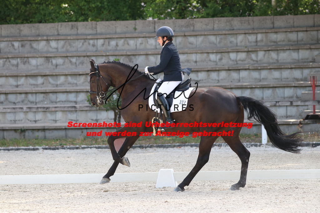 IMG_5559 | lmwpictures - Realisiert mit Pictrs.com