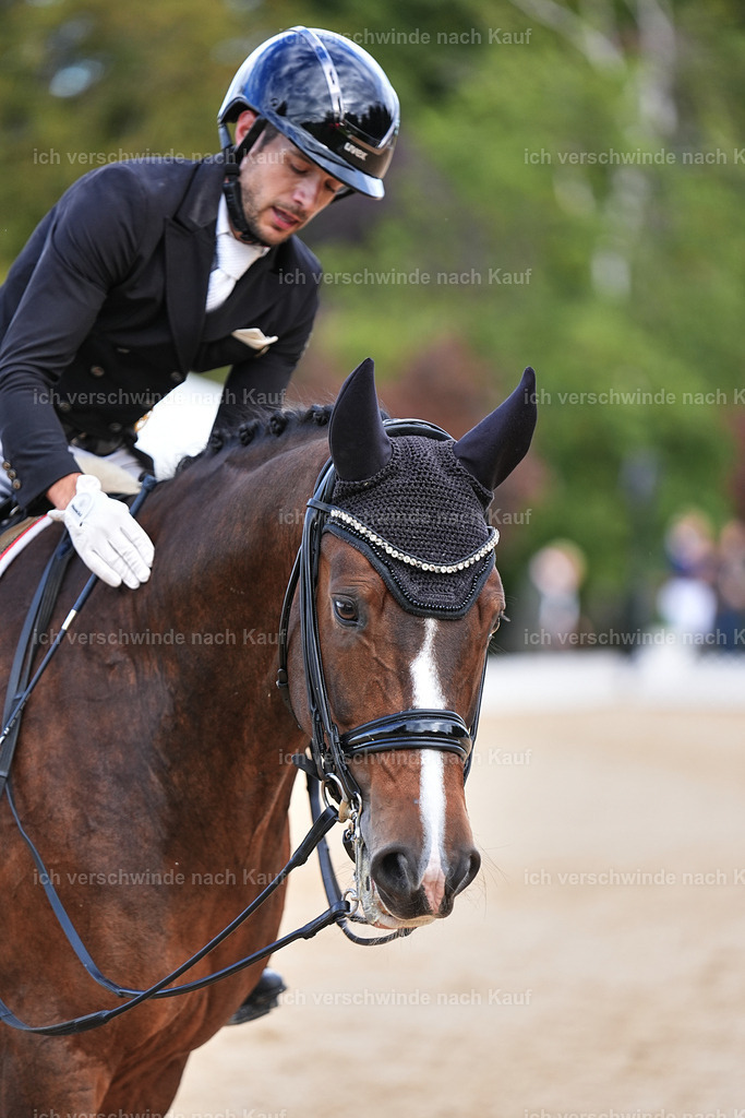 10-207-ST.GEORG SPECIAL -Marixx-3401 | working equitationturnier fotograf videograf stoibphotography marixx film working equitation deutschland reitsport turnierfotografie eventfotografie equestrian events
