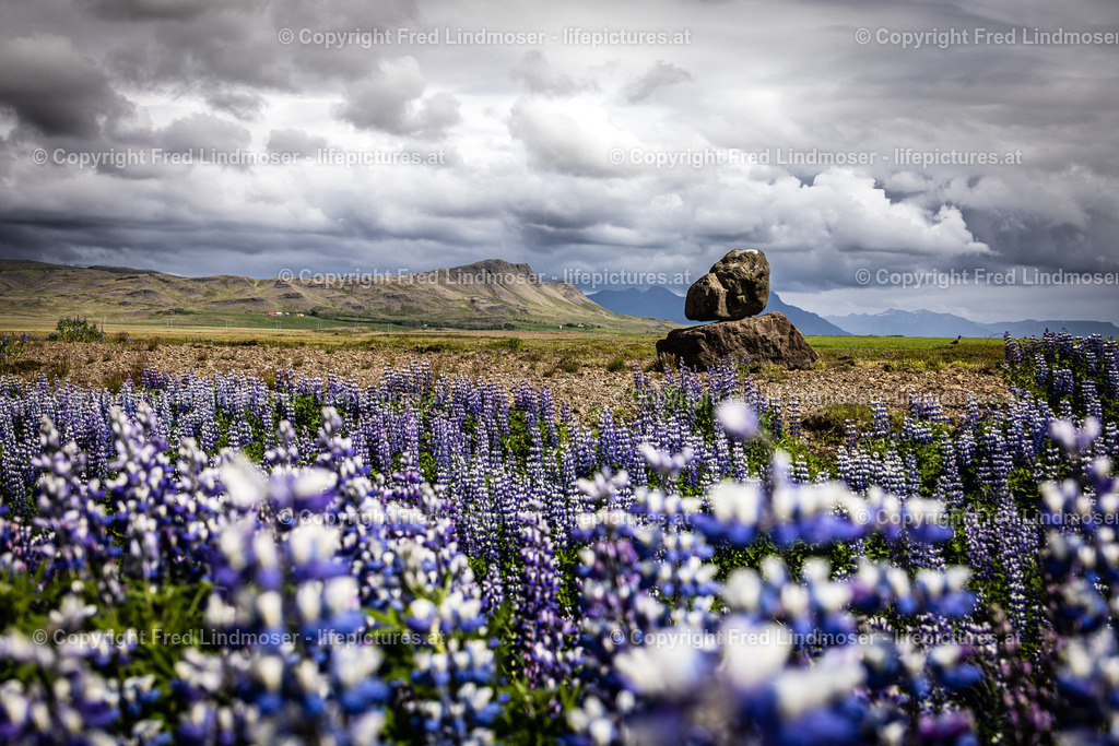 Island Juni 2022-9355 | Fotos und Fotoprodukte - Realisiert mit Pictrs.com