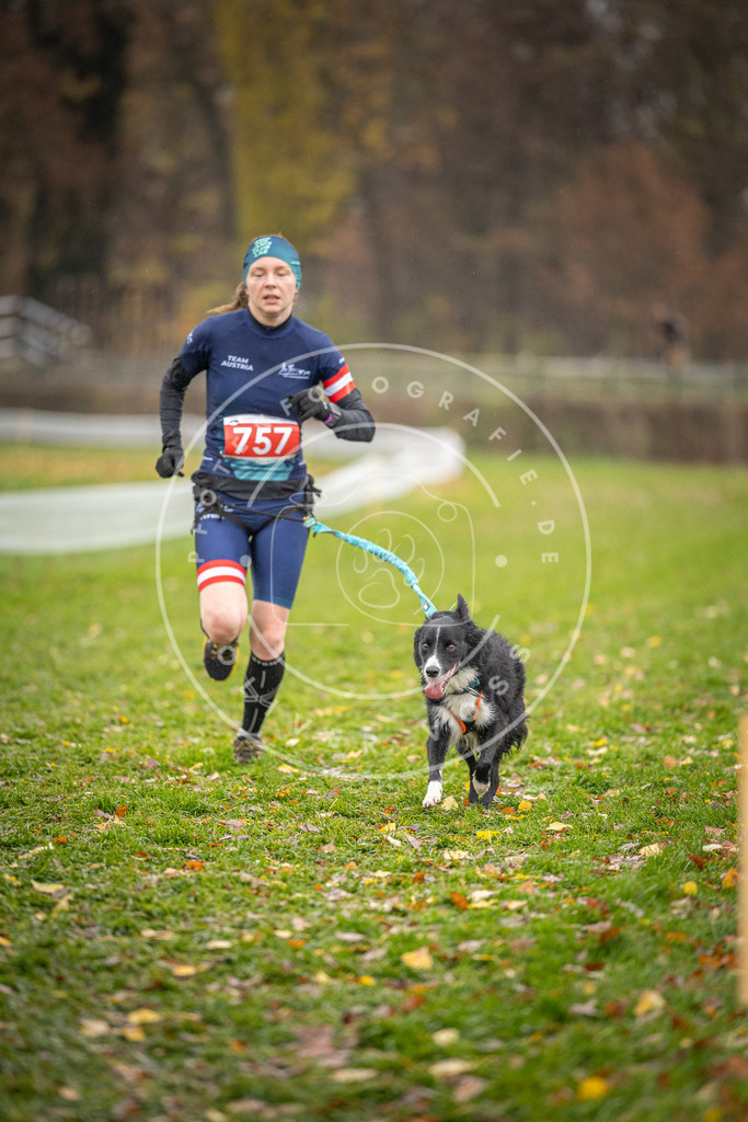 CaniXpix_DV3A9558 | Hundefotografie, Tierfotograf, Pfotenfotografie, Fotoshooting Hund, Hunde Portrait, Hundesport, Hundeportraits, Heideshooting, Hunde, Sportfotograf, Hundefotograf, Turnierhundsport, THS,  - Realisiert mit Pictrs.com