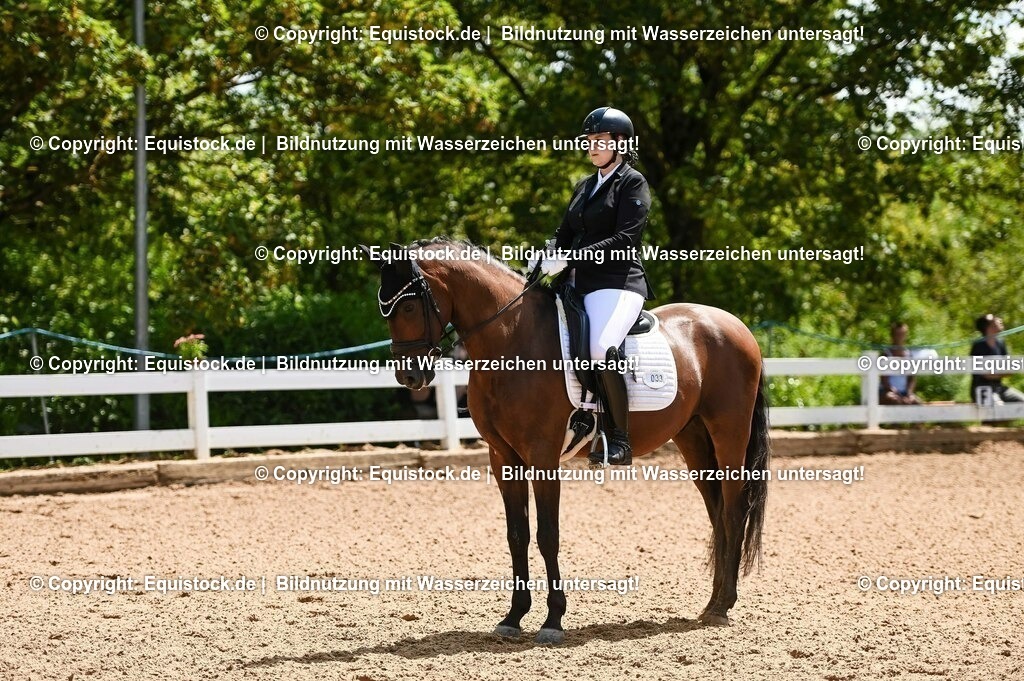 20230716_03_Dressurprfg. Kl.L - Tr._0105 | equistock