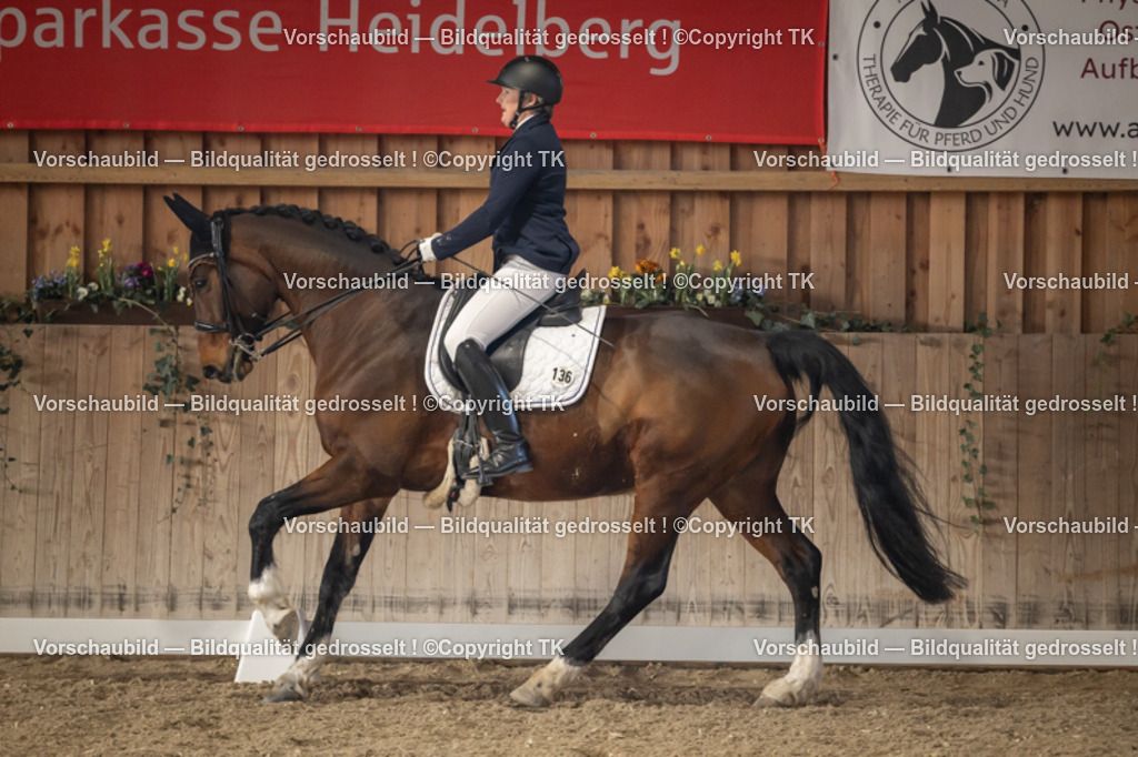 _D5A2934 | Emotionale Pferde- & People-Fotografie rund um Heidelberg, Leimen & Umgebung. Natürliche Fotos von Pferd, Mensch & Familie. Jetzt Termin sichern!