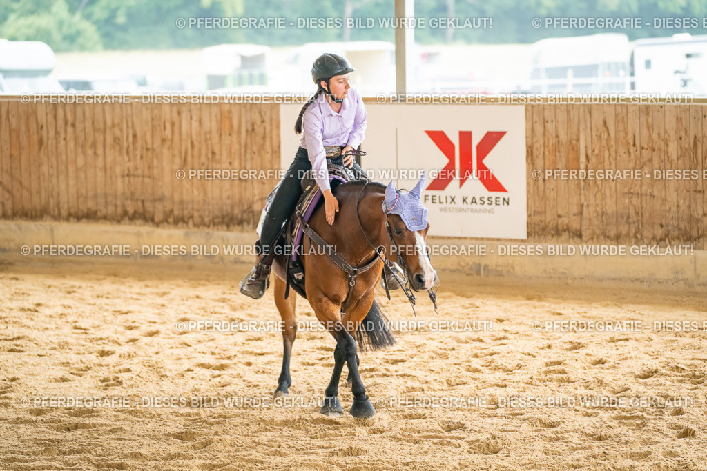 DSC07189 | Pferdegrafie