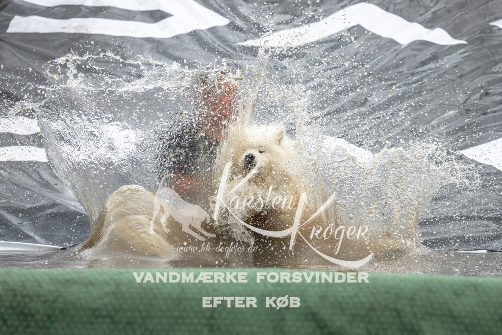 1412_ZZ94729 | kk-dogfotos