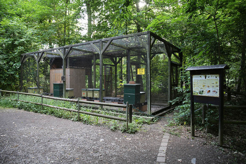 Foto: Leipzig - Wildpark Leipzig | Das Team hinter BILDLEXIKON LEIPZIG bündelt historische wie aktuelle Informationen über die Stadt Leipzig in Text und Bild auf einer Plattform und stellt diese der interessierten Öffentlichkeit zur Verfügung.