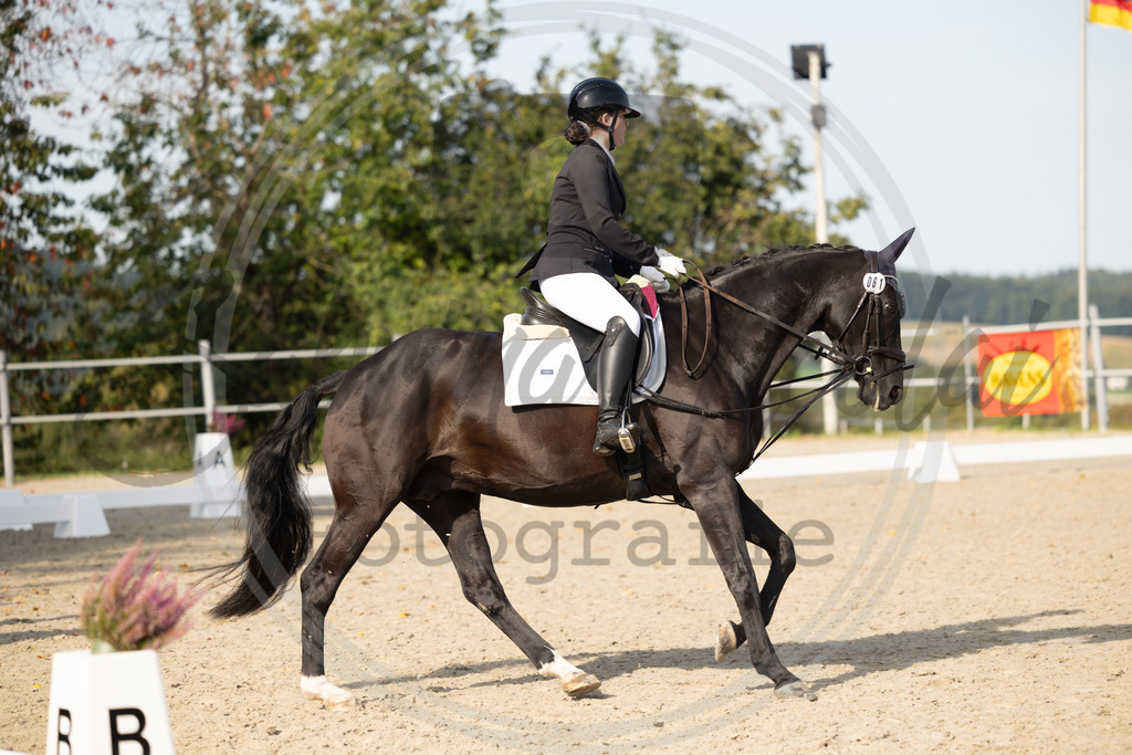 994A1510 | sabrinanicolaifotografie - Realisiert mit Pictrs.com