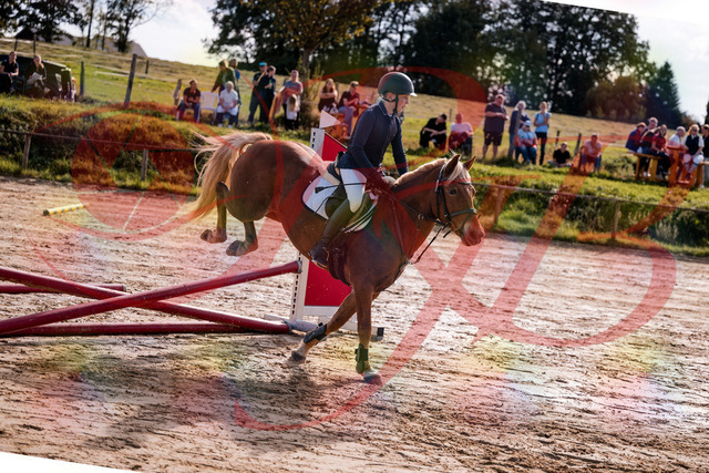 2026_10_03_Siefer-Hof_144651_Z81_23024379 | Professionelle Reitsport-, Turnier- und Eventfotografie von Robert Broda. Galerien mit ausgewählten und bearbeiteten Bildern direkt online ansehen und bestellen.