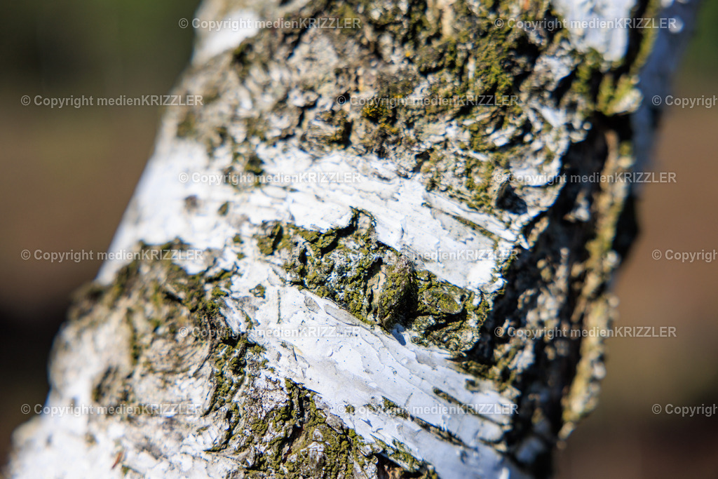 _J3A7757 | medienkrizzler - Realisiert mit Pictrs.com