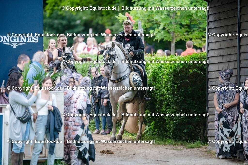 20250606_Lange-Pferdenacht_0320 | Foto: Thomas Hartig