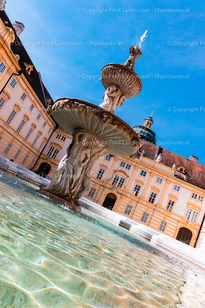 Wachau Marillenbluete 22032023-7512 | Fotos und Fotoprodukte - Realisiert mit Pictrs.com