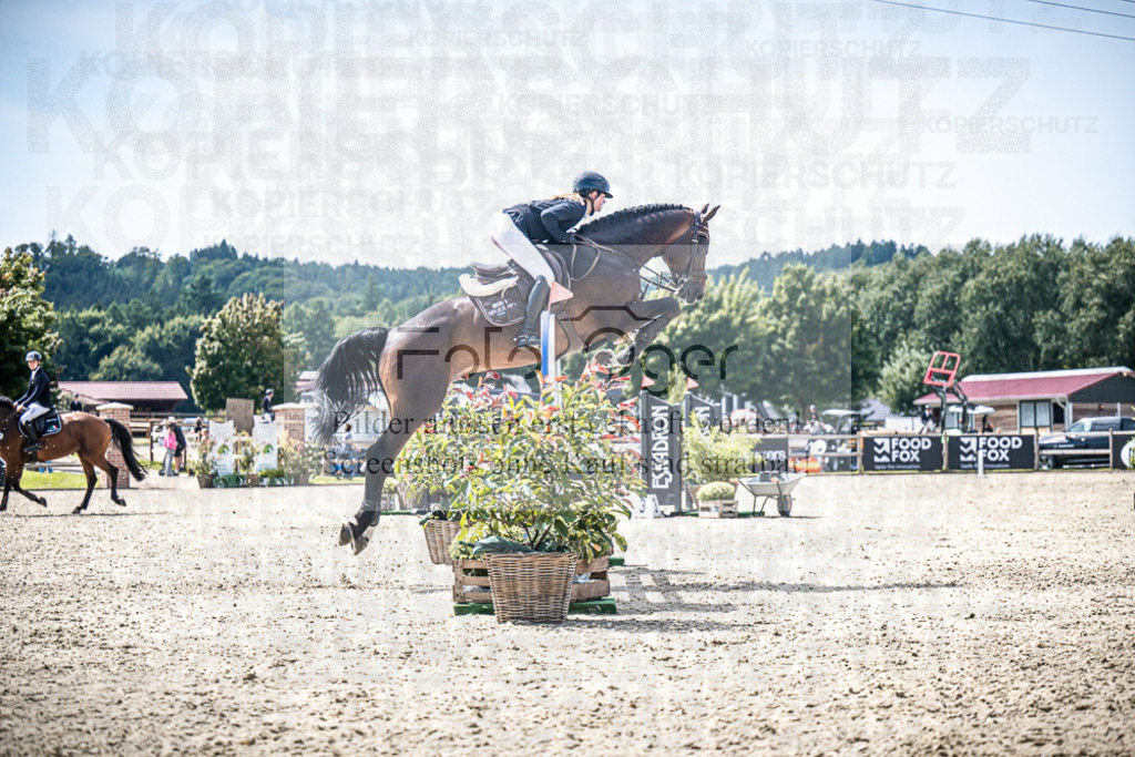 DOS_6401 | Entdecke hochwertige Reitturnierfotos von Foto Oger. Professionell, emotional und authentisch – jetzt Lieblingsmomente im Shop bestellen.Deutschlandweite Turnierfotografie. - Realisiert mit Pictrs.com