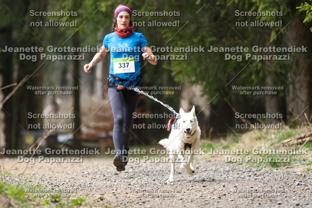 Dog Paparazzi - VCC26-496 | Dog Paparazzi Jeanette Grottendiek Fotografie & Videografie - Realisiert mit Pictrs.com
