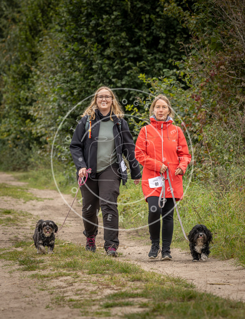 Pfotenfotografie_DV3A6721 | Hundefotografie, Tierfotograf, Pfotenfotografie, Fotoshooting Hund, Hunde Portrait, Hundesport, Hundeportraits, Heideshooting, Hunde, Sportfotograf, Hundefotograf, Turnierhundsport, THS,  - Realisiert mit Pictrs.com
