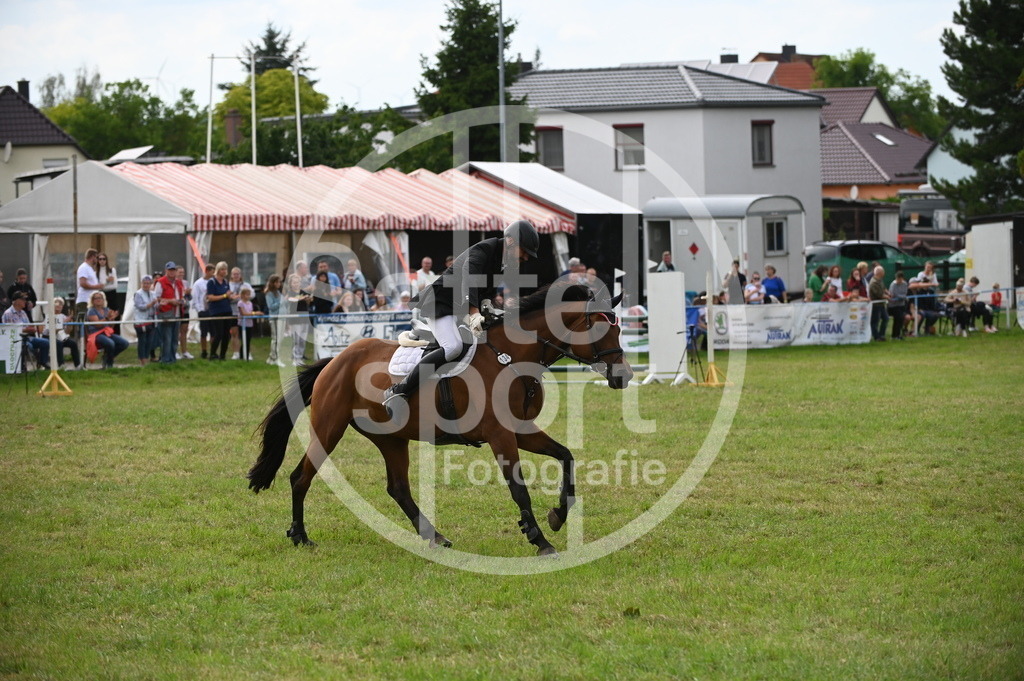 DSC_3290 | sattelsport - Realisiert mit Pictrs.com