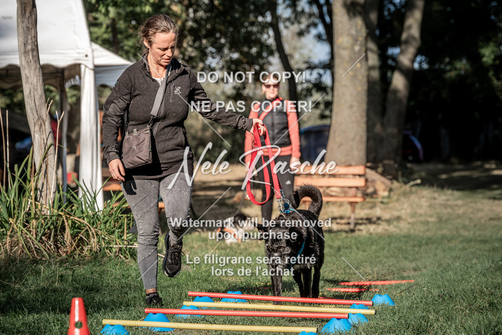 nelerasche_slaw24Sa_75 | nelerasche