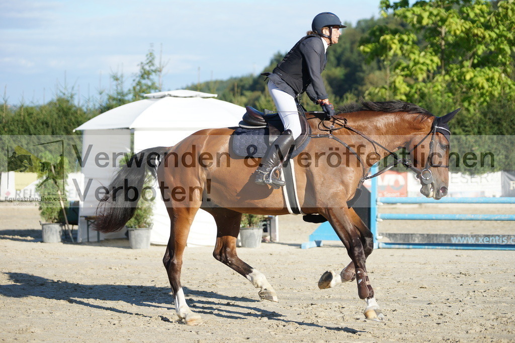DSC09469 | equestrian-live-com