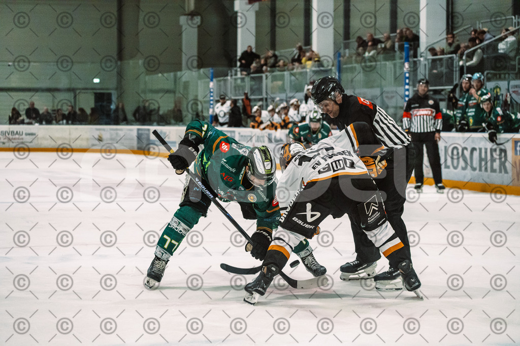 Alligators_vs_Fuessen_27_09_2026-31 | Die Fotogalerie von Daddel: professionelle Bilder von Sport, Events und Unternehmen aus Franken. Jetzt Galerien durchstöbern und Lieblingsfotos bestellen. - Realisiert mit Pictrs.com