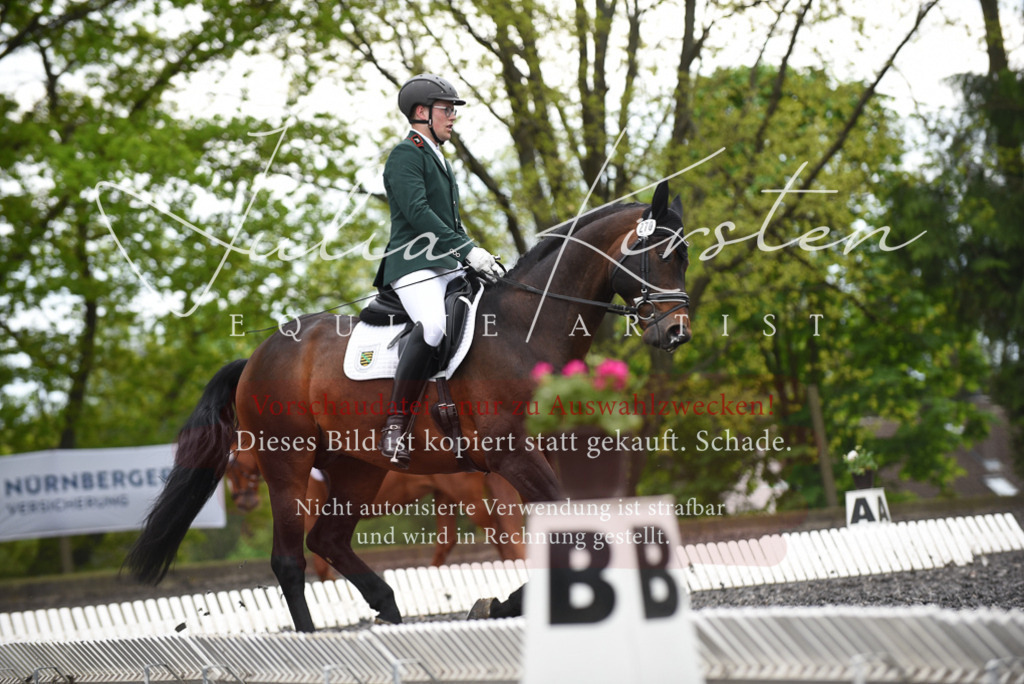20230513_JK-Röhrsdorf-15-415 | Pferde- und Turnierfotografie in Westsachsen. Pferdeportraits, Auftragszeichnungen und intuitive Kunst.