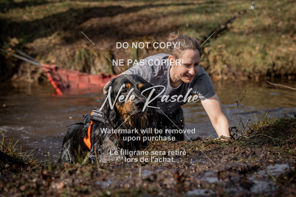 nelerasche_FS1330-1400_133 | nelerasche