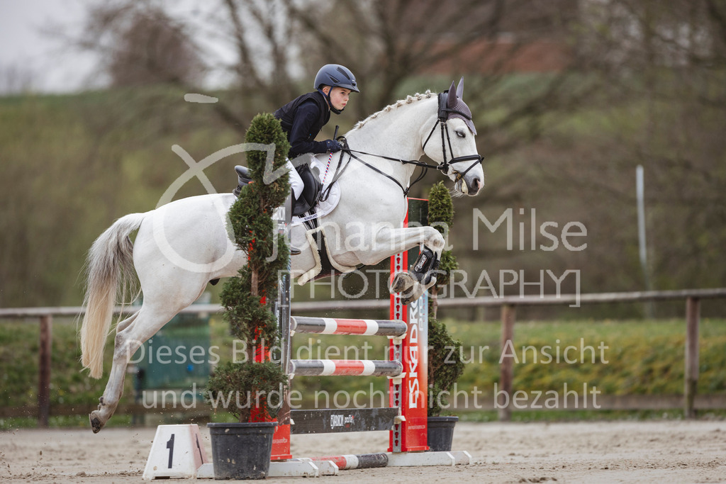 240330_Fruehlingsfest_Stil-A2-1-675 | Deine schönsten Turniermomente als professionelle Fotos! Entdecke hochwertige Pferdesport-Fotografie im Online-Shop. Jetzt Fotos finden & bestellen!