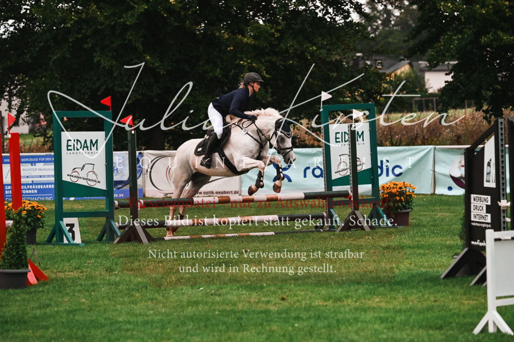 DSC_6102 | Pferde- und Turnierfotografie in Westsachsen. Pferdeportraits, Auftragszeichnungen und intuitive Kunst.