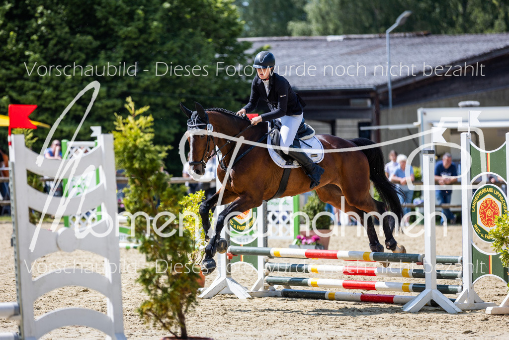 Donop24-SprRW-051 | MomenTaufnahmen Pferdesportfotos