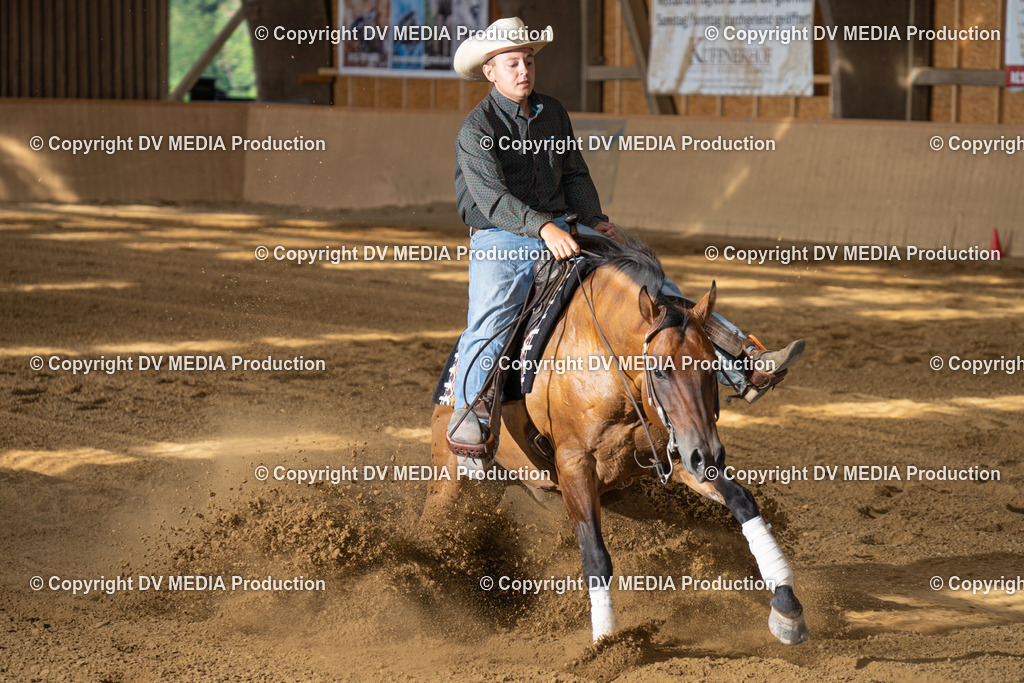 DSC00502 | dv-media-shop - Realisiert mit Pictrs.com