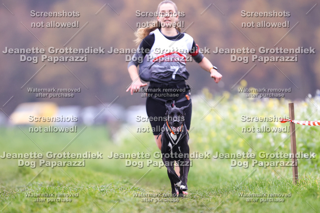 Dog Paparazzi - Visbeck 25 -815 | Dog Paparazzi Jeanette Grottendiek Fotografie & Videografie - Realisiert mit Pictrs.com