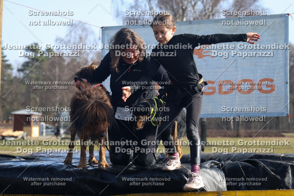 Dog Paparazzi - Strongdog North Mrz26-1304 | Dog Paparazzi Jeanette Grottendiek Fotografie & Videografie - Realisiert mit Pictrs.com