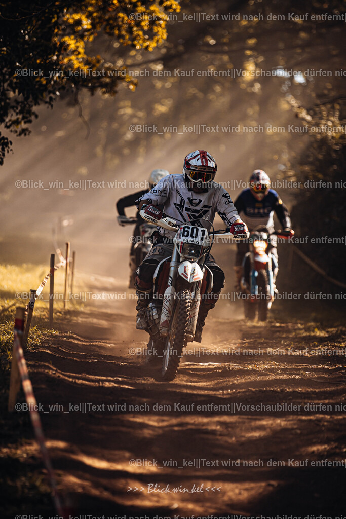 E68A6189 | blick_win_kel