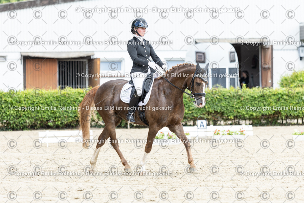 CL5A4388-2 | Emilia Reinking Fotografie - Realisiert mit Pictrs.com