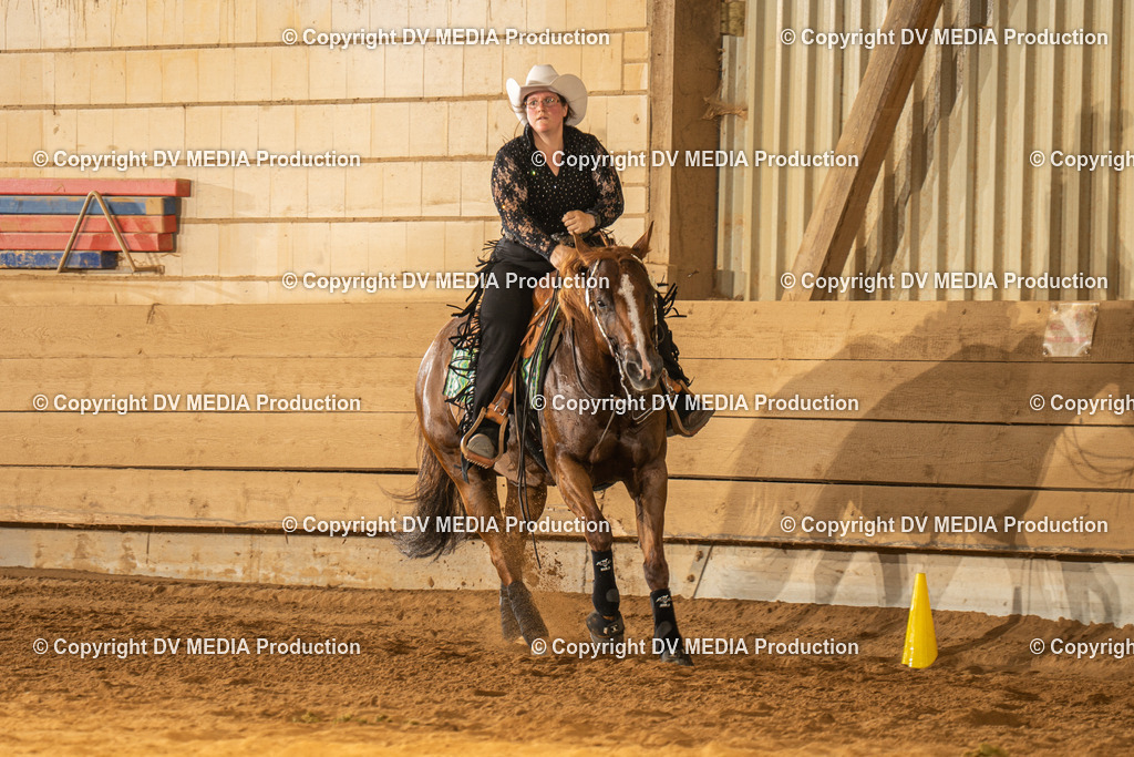 NID02031 | dv-media-shop - Realisiert mit Pictrs.com