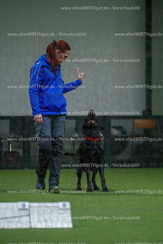 7R504143 | Professionelle Tierfotografie in Mönchengladbach von Daniel Wirth (allesWIRTHgut). Liebevolle & natürliche Bilder von Hunden & Katzen für unvergessliche Erinnerungen.