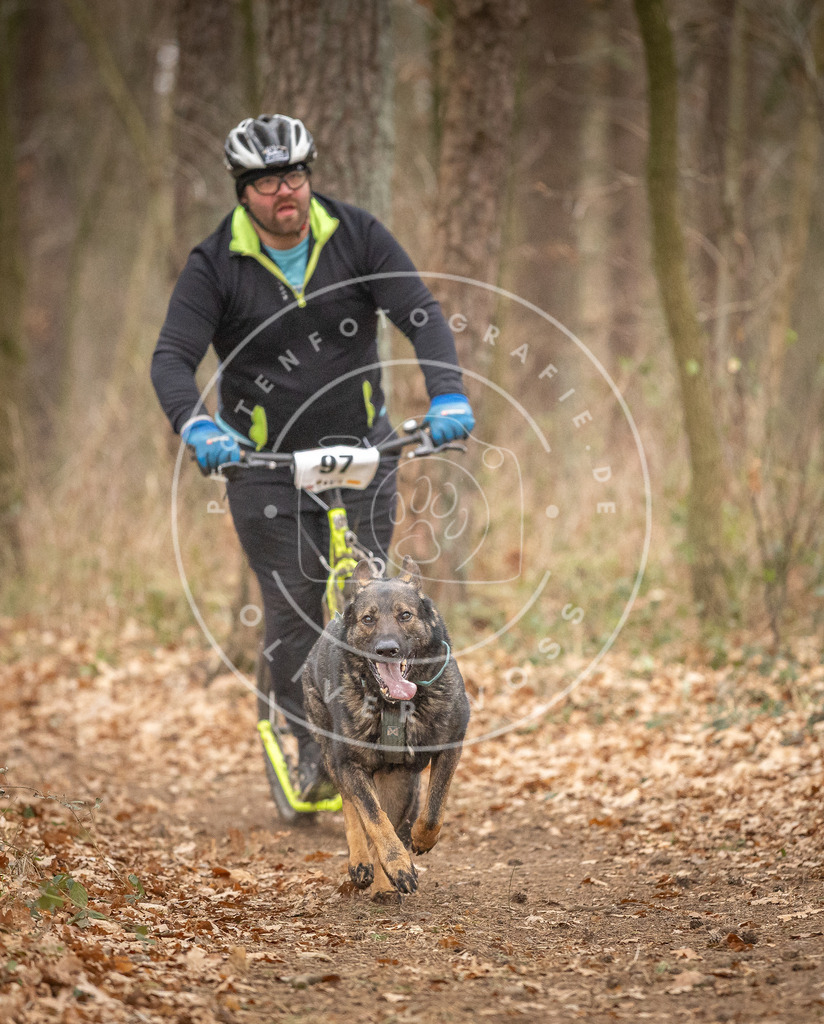 Pfotenfotografie_DV3A7386 | Hundefotografie, Tierfotograf, Pfotenfotografie, Fotoshooting Hund, Hunde Portrait, Hundesport, Hundeportraits, Heideshooting, Hunde, Sportfotograf, Hundefotograf, Turnierhundsport, THS,  - Realisiert mit Pictrs.com