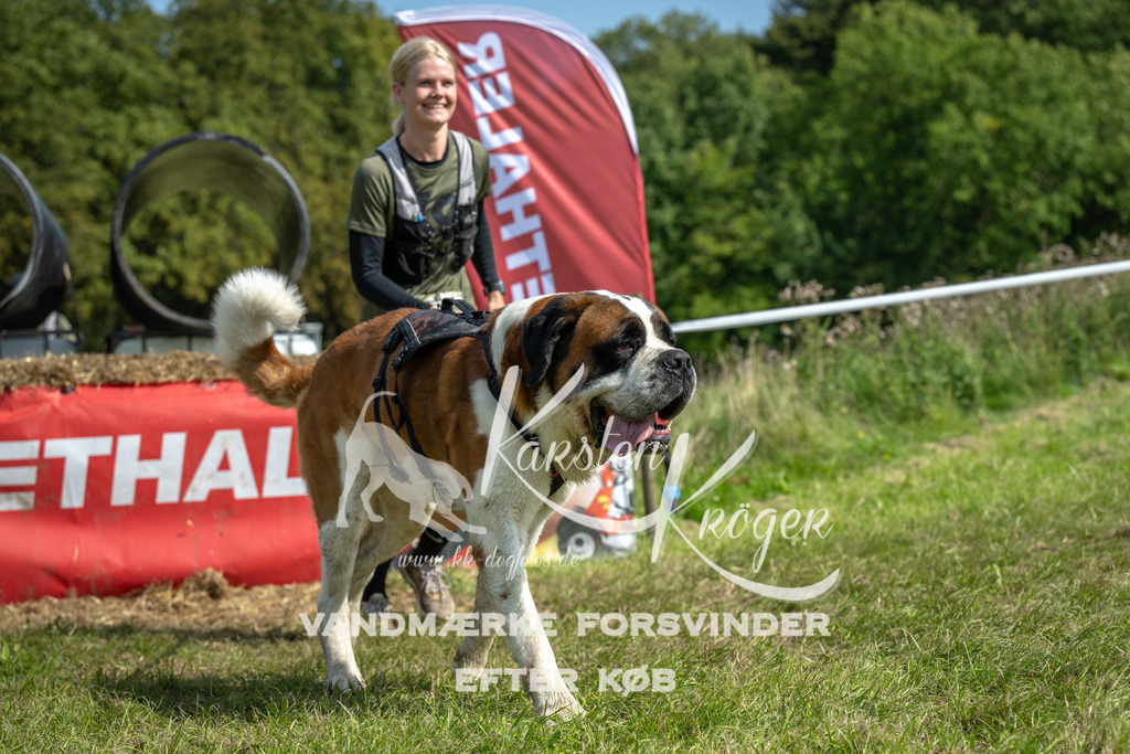 1305_ZZ92082 | kk-dogfotos