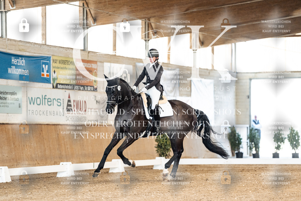 CK900687 | Turnierfotografie Pferdefotografie Trier Rheinland-Pfalz Pferdesport Reitsport Tierfotografie Sportfotografie Pferdevideo Pferdevideografie Equestrianvideography equestrianphotography  - Realisiert mit Pictrs.com