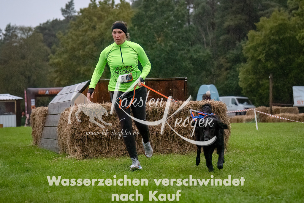0819-_ZZ91042-Bearbeitet-Bearbeitet | kk-dogfotos