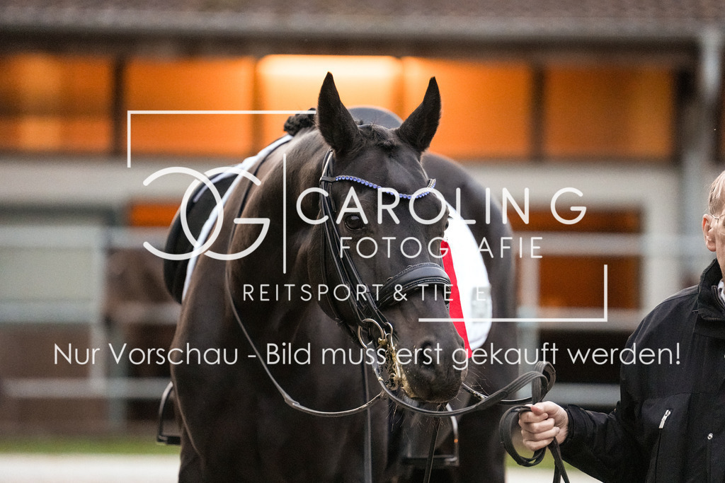 DSC03602 | Turnierfotografin Carolin Gieschke, Turnierfotografie Carolin G Fotografie, Turnierfotos Kirchheim/Teck, Esslingen, Stuttgart, Bodenseekreis