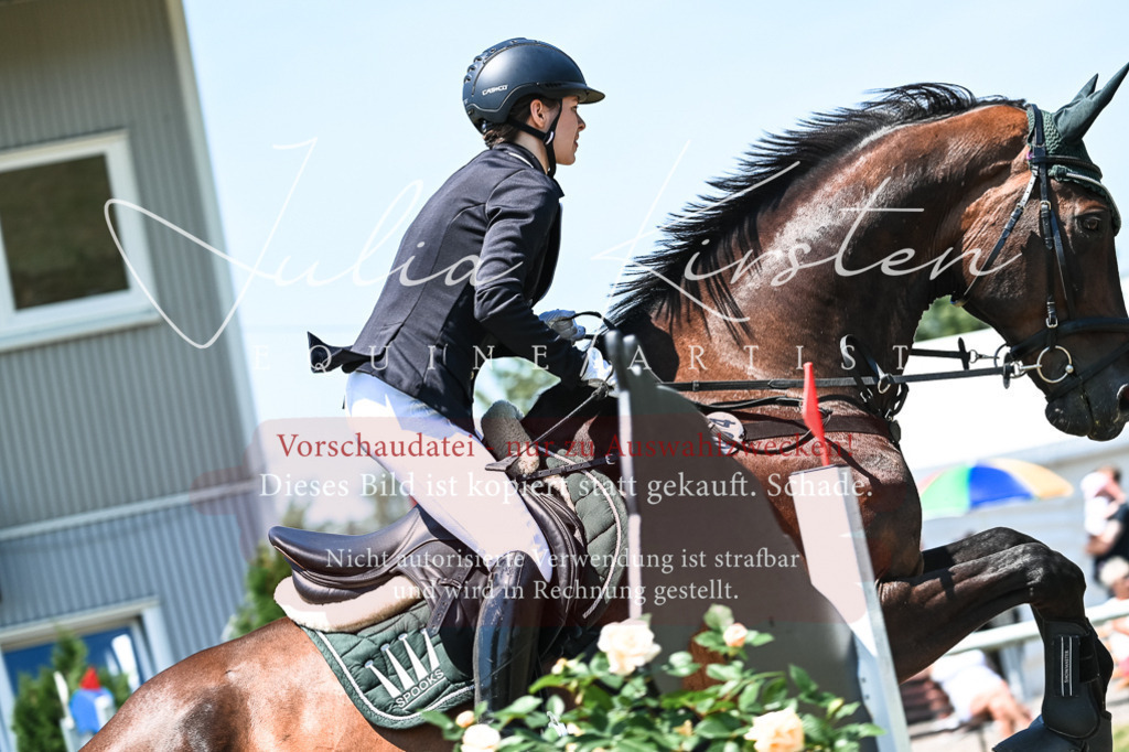 DSC_0159 | Pferde- und Turnierfotografie in Westsachsen. Pferdeportraits, Auftragszeichnungen und intuitive Kunst.