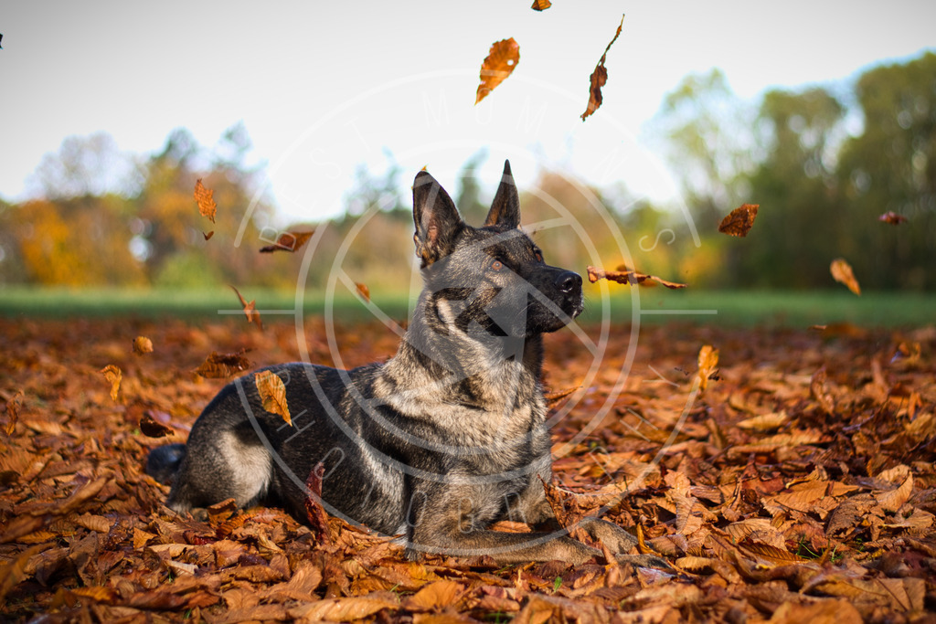 DSC_0573_1 | best-moments-photography - Realisiert mit Pictrs.com