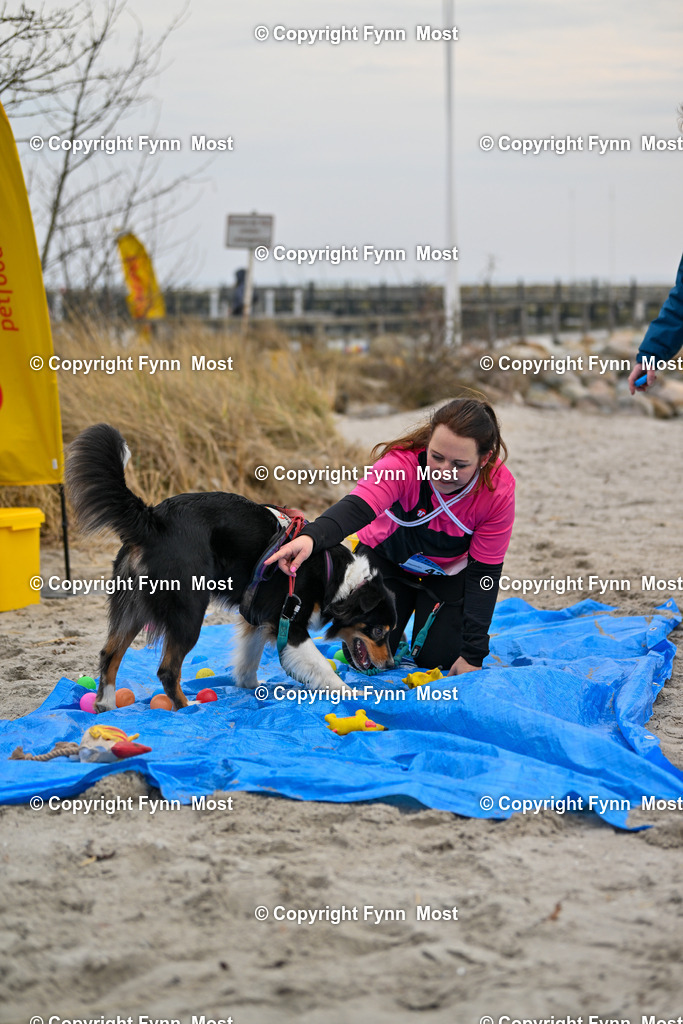 DSC_1970 | Hallo und herzlich Willkommen auf meiner Shop-Seite Fynn Most.

Ich wünsche Dir viel Spaß beim stöbern durch die Bilder, wenn Du Fragen hast oder Bilder vermisst, kannst du mir gerne eine Nachricht schreiben. - Realisiert mit Pictrs.com