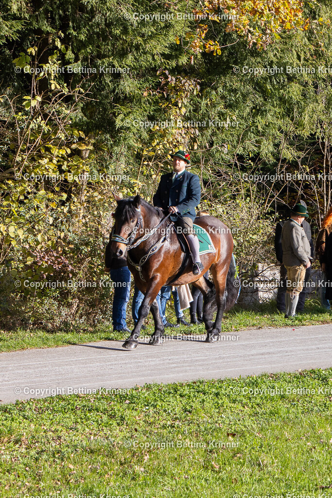 LBT24-159 | foto-bettina-krinner - Realisiert mit Pictrs.com
