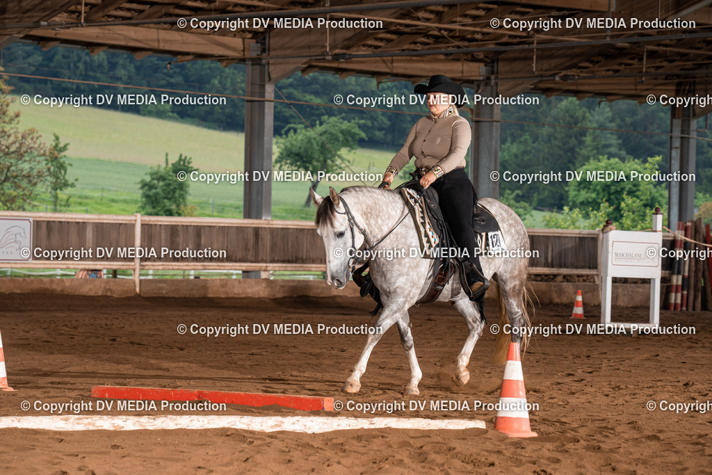 Erbach Tag 3-83 | dv-media-shop - Realisiert mit Pictrs.com